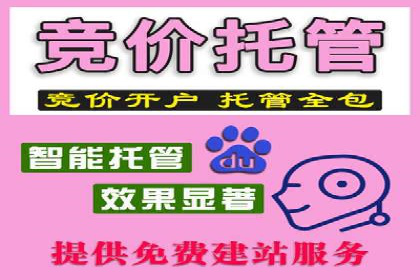 案例解析：SEM代运营服务公司助力企业增长